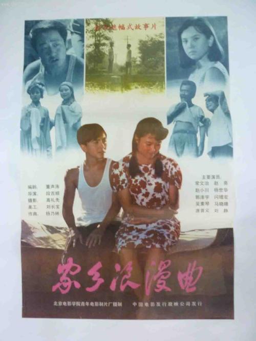 布朗斯维分校设计学位证